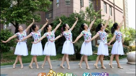 杨丽萍广场舞民族舞《小小新娘花》
