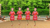 最流行的健身广场舞《小小新娘花》民族风情广场舞视频mp4免费下载